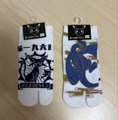 ポケモン　くつした