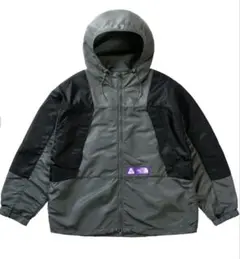 PALACE TheNorthFace Mountain Wind Parka