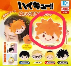 ハイキュー‼︎日向翔陽ヘアピン２つセット