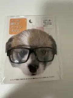 Item thumbnail for item f43f34d6-5fe5-4997-8795-59a12baffcfb