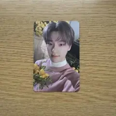 SEVENTEEN Your Choice トレカ ディノ