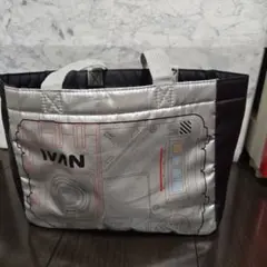 Disney IVAN