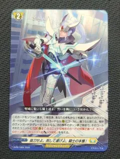 ヴァンガード 騎機奮迅 ヴァルトロッサ＆ライエル 1枚 RRR - メルカリ
