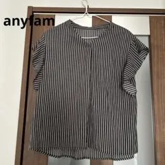 anyfam ストライプ　トップス　オンワード梶山　フリーサイズのサムネイル