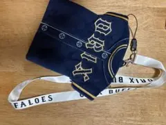 オリックスバファローズ　チケットホルダー