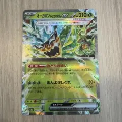 【150円】オーガポンみどりのめんex RR M2a 017/193