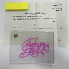 競艇　平高奈菜　サイン入りぬいぐるみ ボートレーサー 香川支部の平高奈菜のサイン とても綺麗な状態です