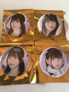 飯田ヒカル　バースデーパーティー2025 グッズ購入特典　缶バッジ 飯田ヒカル バースデーパーティー2025 グッズ購入特典 缶バッジ