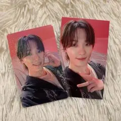 SEVENTEEN HAPPY BURSTDAY 特典 トレカ ディノ 2枚