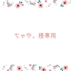 ちゃゆ。様専用ページ