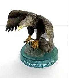 旭山動物園 ZOO 海洋堂 カプセル フィギュアVo.5 オジロワシ ガチャのサムネイル