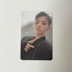 SEVENTEEN FaceTheSun Ep.2 Shadow トレカ ホシ