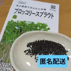 ブロッコリースプラウト種子 お試し少量のサムネイル