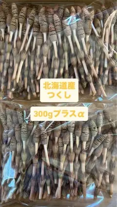 北海道産 つくし 300gプラスα