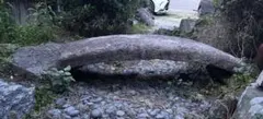 다리, 돌썰매, 다리, 국내산 이시바시, 일본 정원, 오래된 가옥