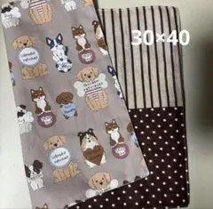 リバーシブルランチョンマット★約30×40のサムネイル
