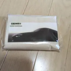 Item thumbnail for item 1b63bfc0-7fdc-4df9-a383-11bfbaa2e0a9