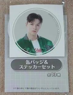 SEVENTEEN一番くじ バーノン　D賞 缶バッジ&ステッカーセット