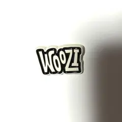 ☆10/31まで値下げ☆ SEVENTEEN HOLIDAYピンズ　ウジ