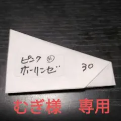 むぎ様　専用　４　ピンクホーリンゼ他　自家受粉の種子　約３０粒