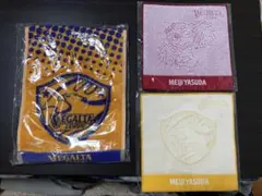 Item thumbnail for item 79607ded-f9f8-4691-b36f-005cd0815b6e