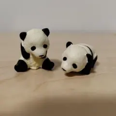 アニア ジャイアントパンダ 赤ちゃん セット フィギュア レア ベビー 可愛い