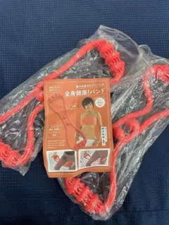 樫木裕実さんの全身健康バンド 　２本セット