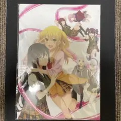 citrus クリアファイル　未開封