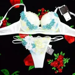 【タグ付新品未使用】サルート 51G 南アフリカ　D75/ソングM ワコール タグ付新品未使用】サルート 51G 南アフリカ D75/ソングM