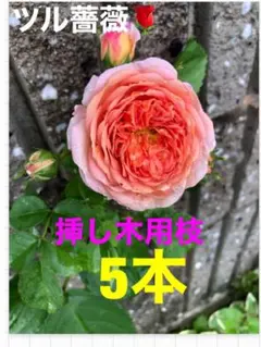 ルルル様 リクエスト 2点 まとめ商品
