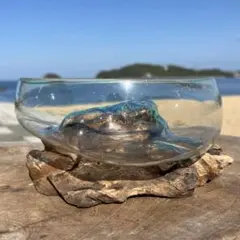 流木ガラスオブジェB20D 花瓶 金魚鉢 ガーデニング テラリウム 観賞魚 容器