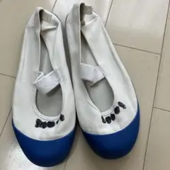 ムーンスター体育館シューズ　上靴　上履き　バレーシューズ　青ブルーコバルト24㎝