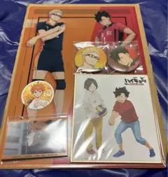 劇場版ハイキュー!!ゴミ捨て場の決戦 DVD 豪華版　特典