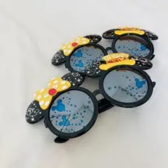 ディズニー　30周年　サングラス　2点セット
