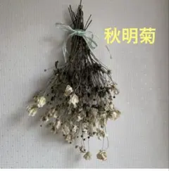 ドライフラワー　秋明菊　ハンドメイド花材　クリスマス　リース