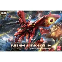 RE1/100 ナイチンゲール【新品、未開封品】