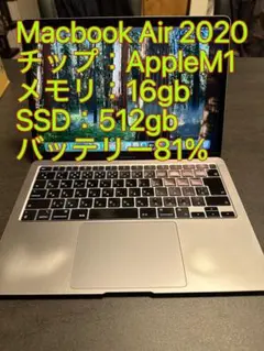 M1 칩 맥북 에어 2020 메모리 16기가바이트 ssd512gb