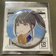藤田ことね　初星水族館　缶バッジ　13点セット サンシャイン水族館×学園アイドルマスターコラボイベント「初星