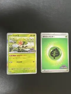 シェイミ 基本草エネルギー CL チャンピオンズリーグ 2026 プロモ