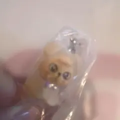 straykids skzoo めじるしアクセサリー　スンミン