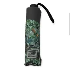 Item thumbnail for item 5ac08541-3be9-45d4-b814-bf89fca2483e