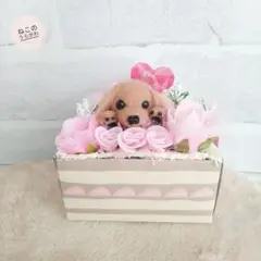 ♥️バレンタイン限定♥️ミニチュアダックスちゃんのケーキアレンジメント♪