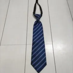 Item thumbnail for item 4b0f8930-7f8f-4563-a546-1233efd09eeb