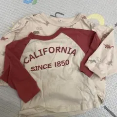 恐竜柄 カリフォルニア Tシャツ 90cmセット