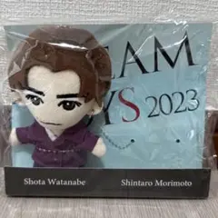 渡辺翔太 DREAMBOYS ぬいぐるみマスコット