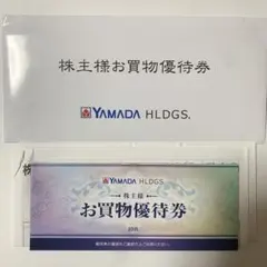 ヤマダ電機 株主優待 お買い物優待券