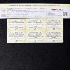 【匿名発送】GALA湯沢スキー場 株主さまリフト優待割引券 6枚セットのサムネイル