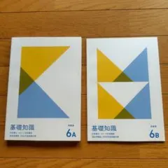 フォーサイト 行政書士 スピード合格講座 2023年度対策 テキスト