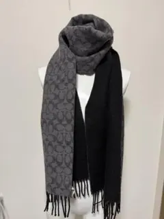 Item thumbnail for item 9e012b2d-75df-4540-bf71-336b13157bfd