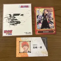 ブリーチ ジャンプフェア アニメイト 特典 名刺カード 色紙